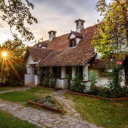 Count Kalnoky'S Transylvanian Guesthouses Miclosoara Exterior photo