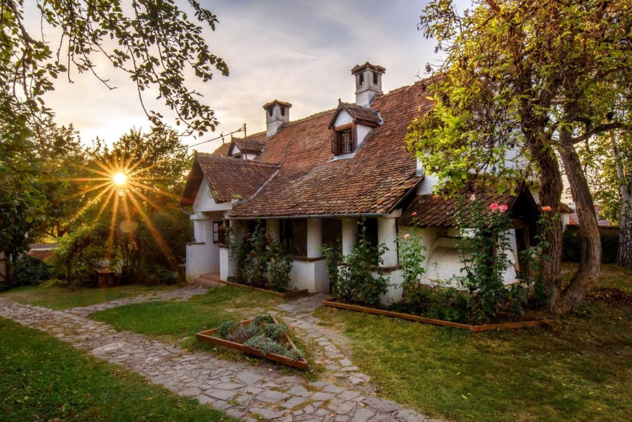 Count Kalnoky'S Transylvanian Guesthouses Miclosoara Exterior photo