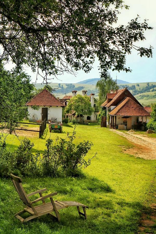 Count Kalnoky'S Transylvanian Guesthouses Miclosoara Exterior photo