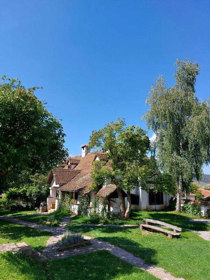 Count Kalnoky'S Transylvanian Guesthouses Miclosoara Exterior photo