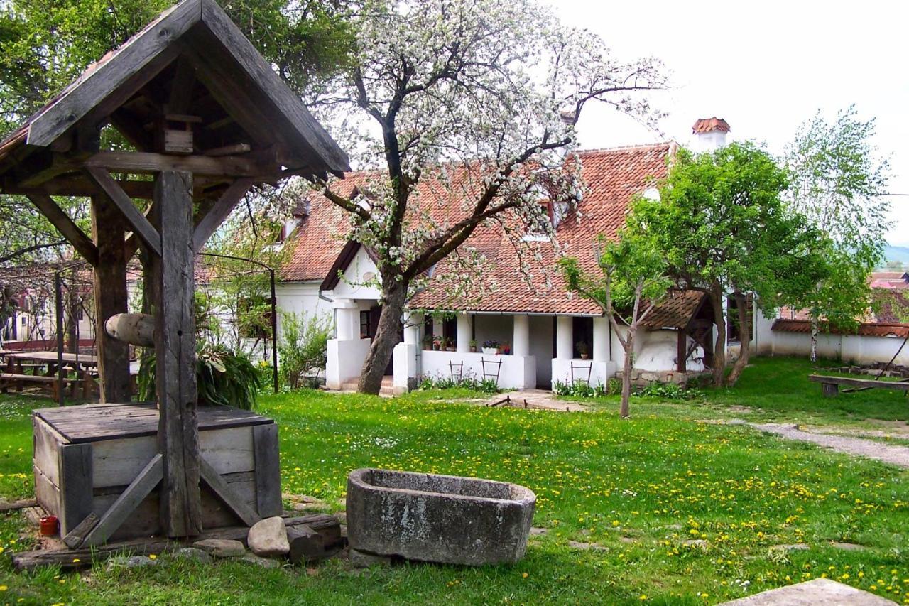 Count Kalnoky'S Transylvanian Guesthouses Miclosoara Exterior photo