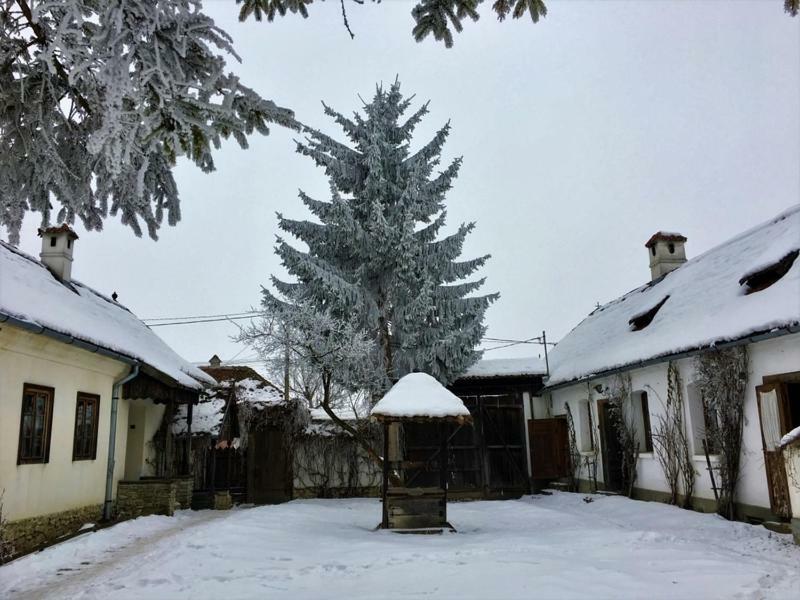 Count Kalnoky'S Transylvanian Guesthouses Miclosoara Exterior photo