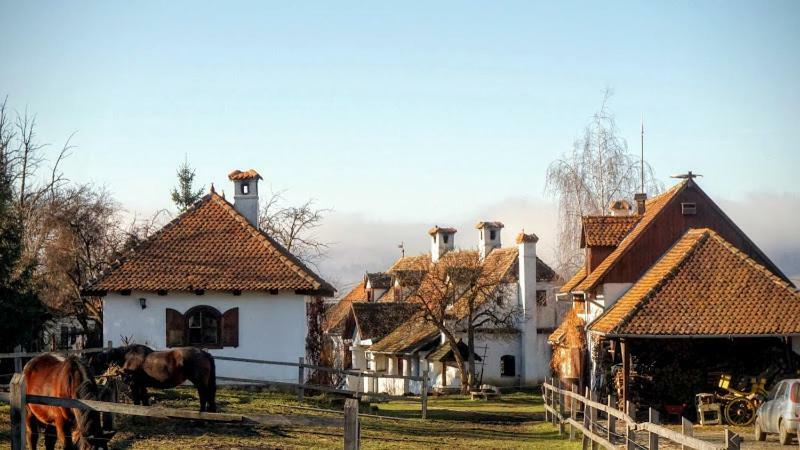 Count Kalnoky'S Transylvanian Guesthouses Miclosoara Exterior photo